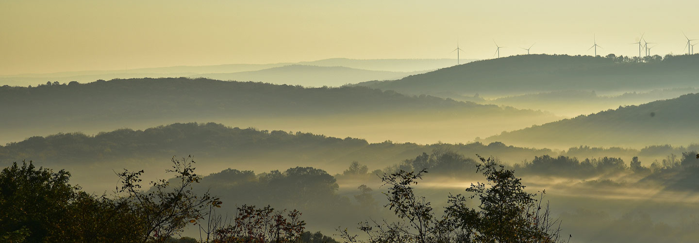 Nature of Maryland