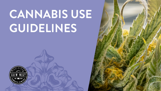Cannabis Use Guidelines