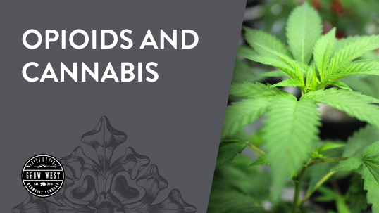Opioids and Cannabis